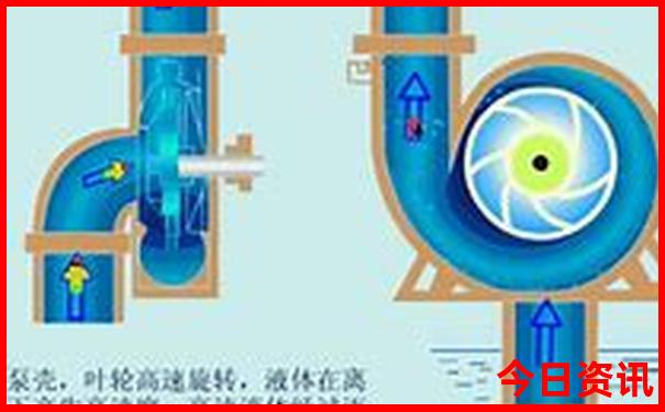 管家婆白小姐四肖四码|公开解释